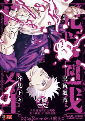 Jujutsu Kaisen 12 REMIX [STOCK]