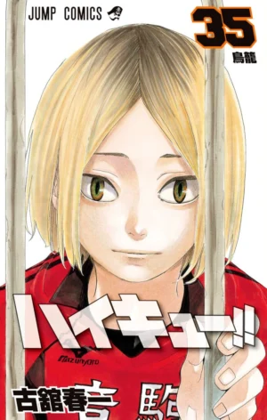 Haikyuu!! Vol. 35 [PEDIDO]