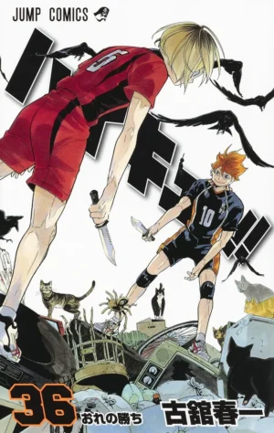 Haikyuu!! Vol. 36 [PEDIDO]